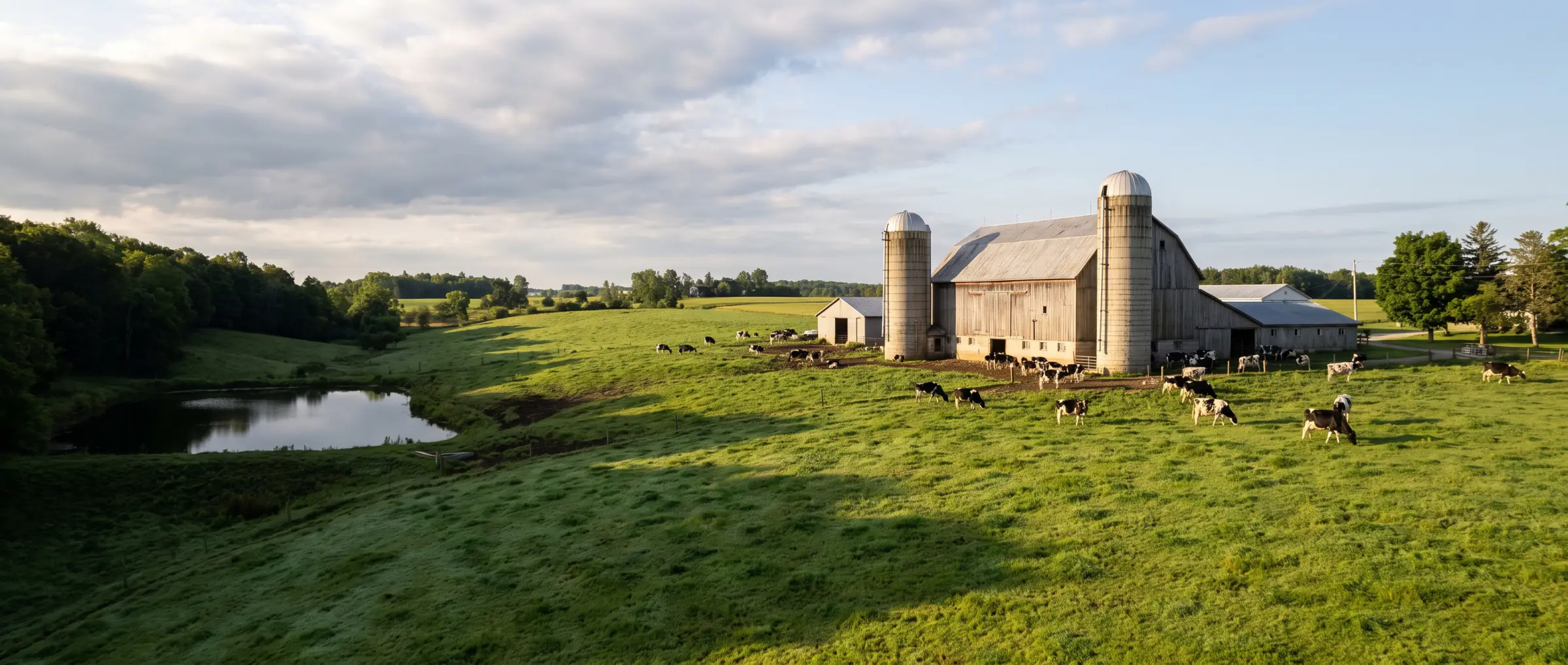 Christian-Owned Businesses in Norwich, ON: dairy farmland in Oxford County