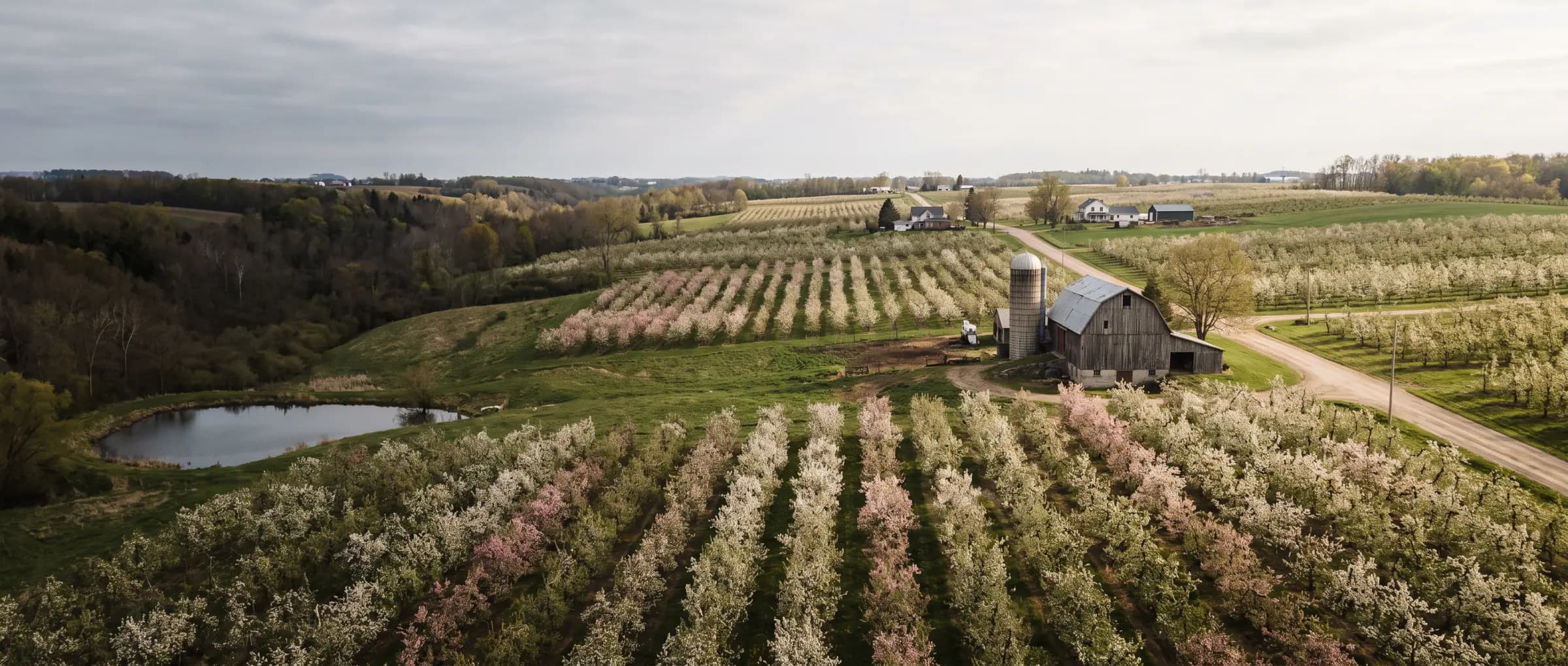 Christian-Owned Businesses in Fenwick, ON: orchards in bloom in the Pelham countryside