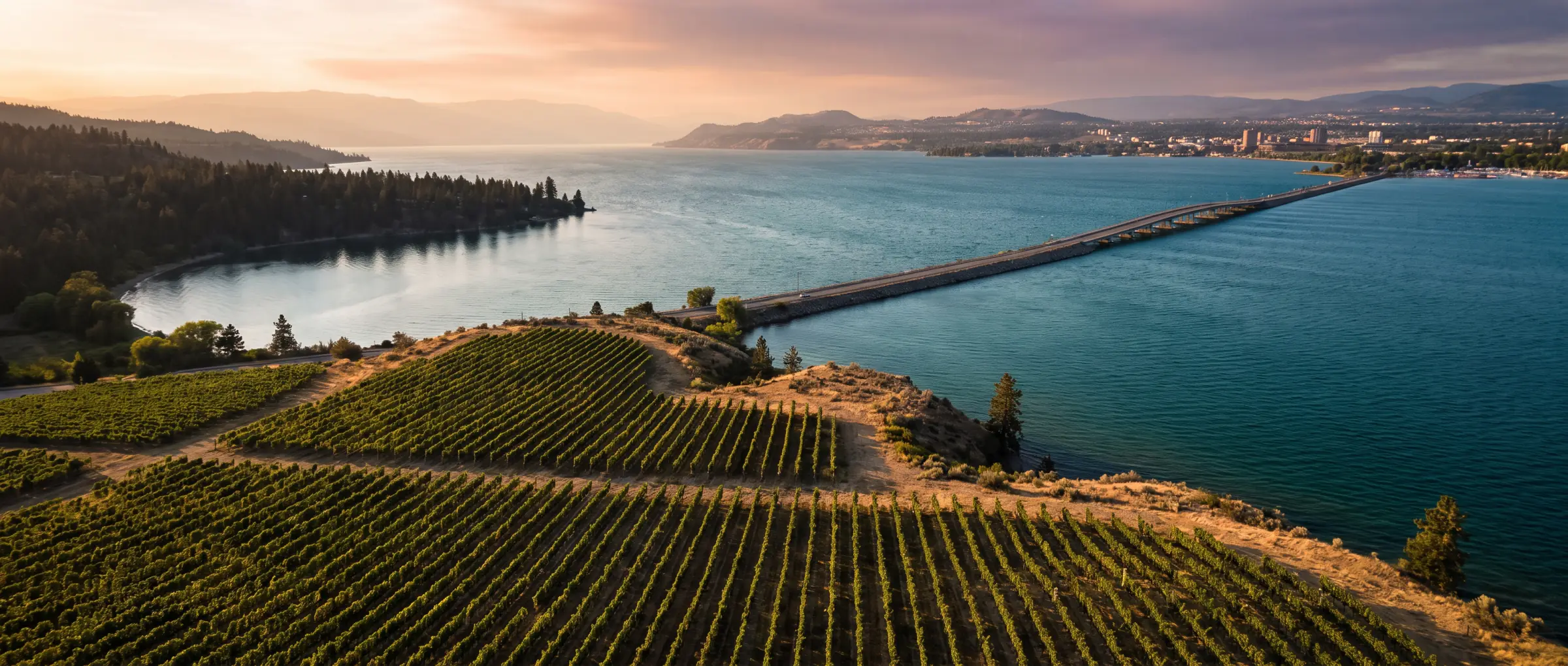Christian-Owned Businesses in Kelowna, BC: Okanagan Lake and the W.R. Bennett Bridge from the vineyards