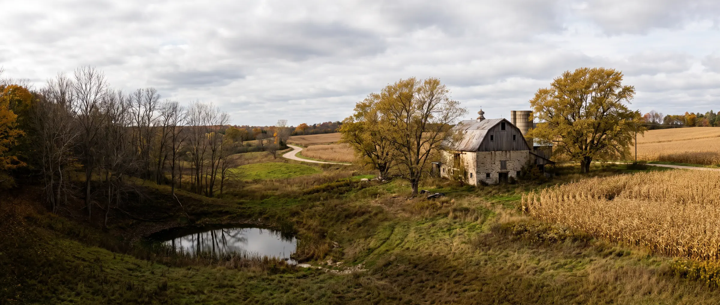 Christian-Owned Businesses in Millgrove, ON: farm fields and woodlots on the Flamborough plateau