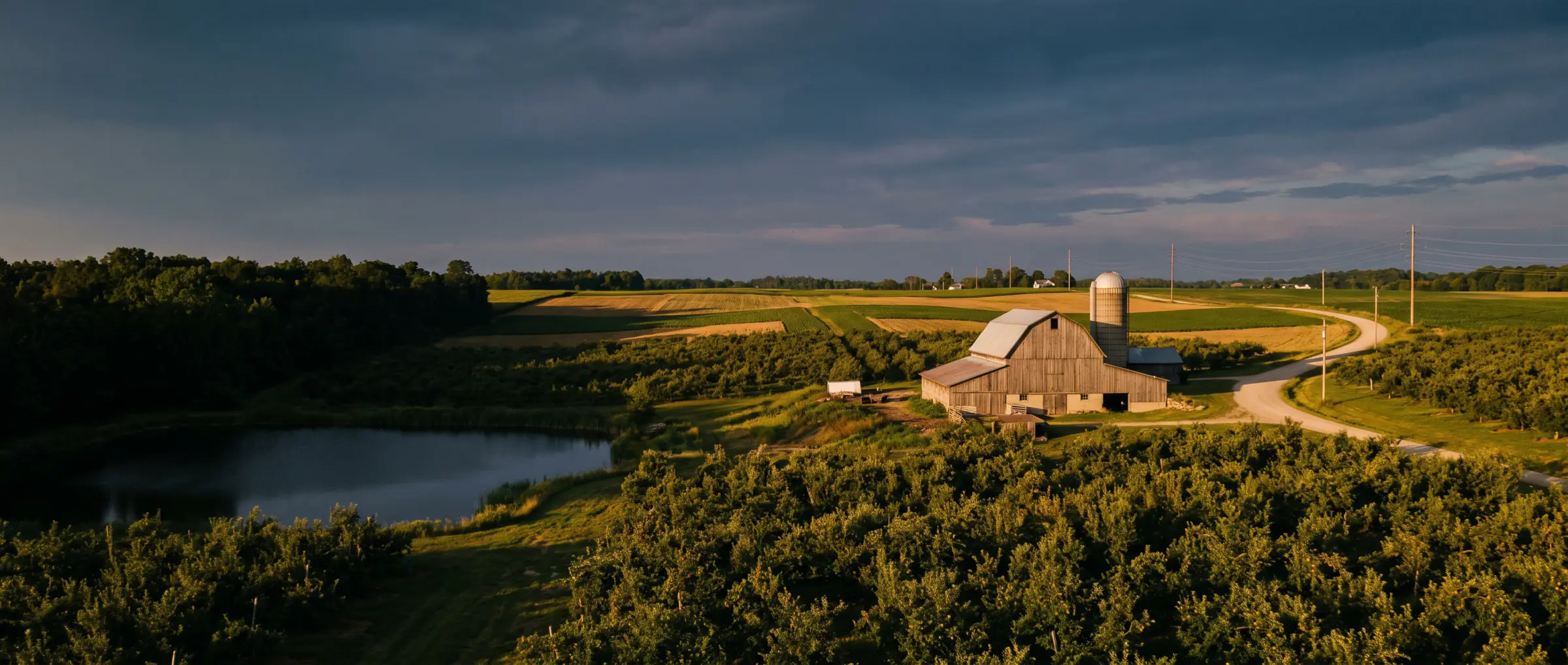 Christian-Owned Businesses in Simcoe, ON: the orchards and farm fields of Norfolk County