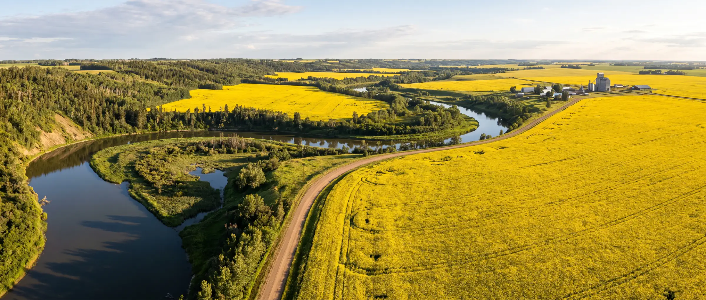 Christian-Owned Businesses in Sturgeon County, AB: canola fields and the Sturgeon River valley