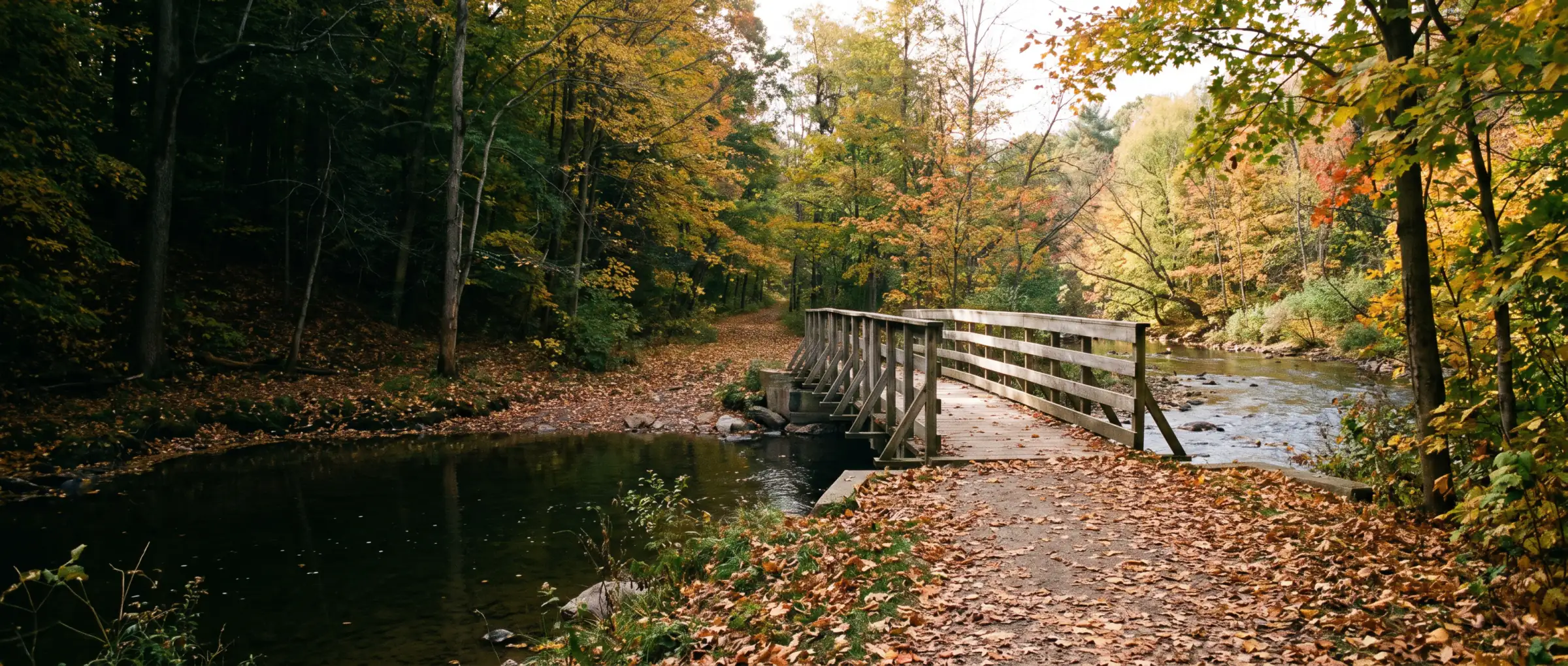 Christian-Owned Businesses in Woodbridge, ON: the Humber River trail in Woodbridge